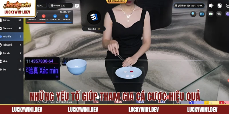 Những yếu tố giúp tham gia cá cược hiệu quả
