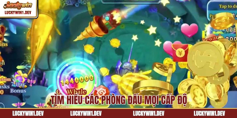 Tìm hiểu các phòng đấu mọi cấp